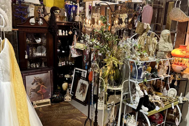 A booth of plant stands, framed pictures and a cabinet, with a dress hanging at the edge