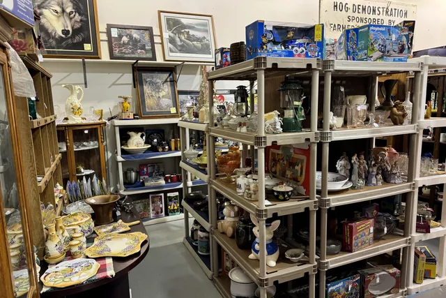 Framed wildlife pictures above shelving stacked with pottery and household pieces